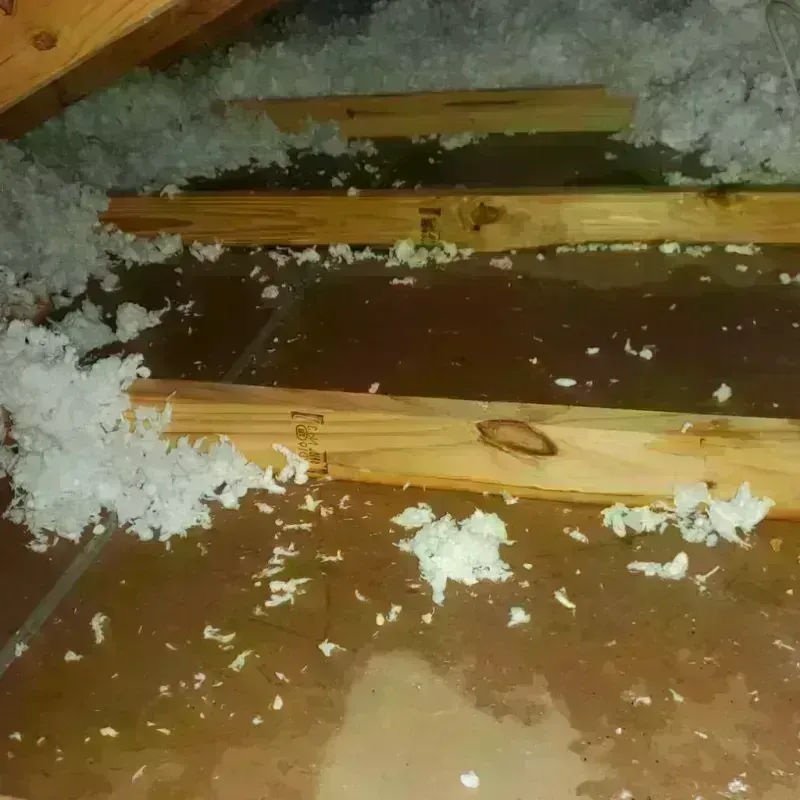 Attic Water Damage in Graham, TX