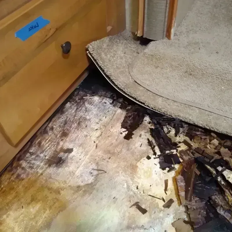 Wood Floor Water Damage in Graham, TX